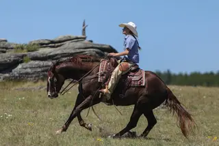 RR Remember My Face, 4 Year Old Sorrel Quarter Horse Gelding for Sale in Sundance, WY, photo 3 of 5