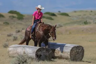 RR Remember My Face, 4 Year Old Sorrel Quarter Horse Gelding for Sale in Sundance, WY, photo 4 of 5