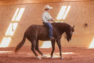 RR Remember My Face, 4 Year Old Sorrel Quarter Horse Gelding for Sale in Sundance, WY, photo 5 of 5