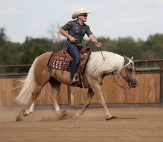 Whiz And Dunnit (Cheez It), 6 Year Old Palomino Quarter Horse Gelding for Sale in Buffalo, MO, photo 4 of 6