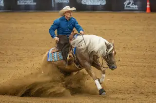 Whiz And Dunnit (Cheez It), 6 Year Old Palomino Quarter Horse Gelding for Sale in Buffalo, MO, photo 5 of 6