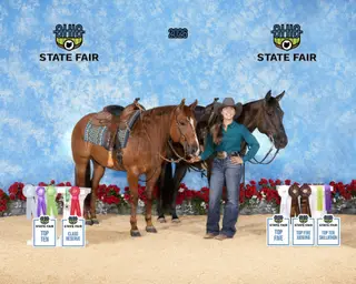 Colonels Rippinitup (Kernal), 13 Year Old Grullo Quarter Horse Gelding for Sale in Sidney, OH, photo 2 of 6