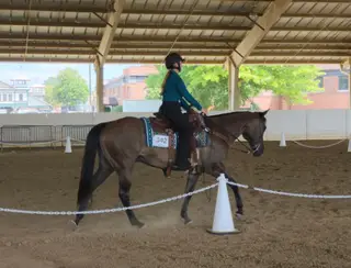Colonels Rippinitup (Kernal), 13 Year Old Grullo Quarter Horse Gelding for Sale in Sidney, OH, photo 6 of 6