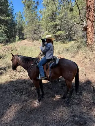 Bodie, 7 Year Old Bay Roan Quarter Horse Gelding for Sale in Paulina, OR, photo 2 of 3