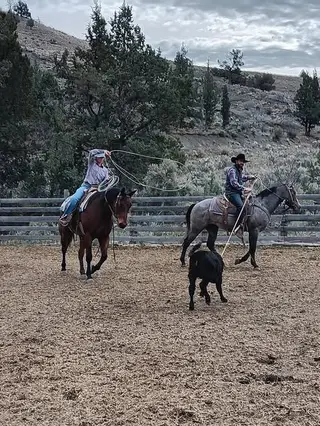 Bodie, 7 Year Old Bay Roan Quarter Horse Gelding for Sale in Paulina, OR, photo 3 of 3