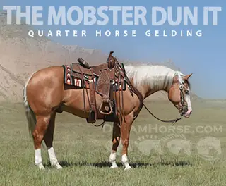 The Mobster Dun It (Hooey)