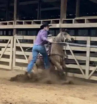 Tilley, 9 Year Old Dun Quarter Horse Mare for Sale in Carthage, MO, photo 3 of 4