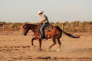 BCW Star Corvette, 5 Year Old Sorrel Quarter Horse Mare for Sale in Lakin, KS, photo 3 of 5