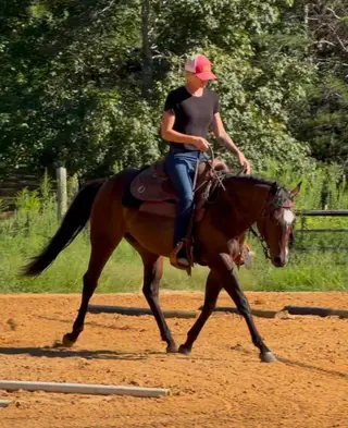 IMA MACHINE ADDITION (Miss Sassy), 2 Year Old Brown Quarter Horse Mare for Sale in Woodford, VA, photo 2 of 5