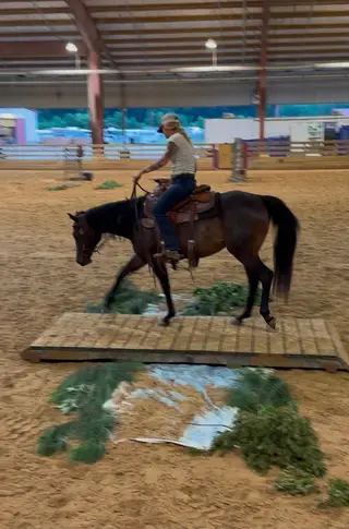 IMA MACHINE ADDITION (Miss Sassy), 2 Year Old Brown Quarter Horse Mare for Sale in Woodford, VA, photo 3 of 5
