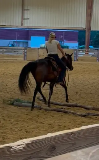 IMA MACHINE ADDITION (Miss Sassy), 2 Year Old Brown Quarter Horse Mare for Sale in Woodford, VA, photo 4 of 5