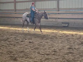 Lectric Metalic Cat, 2 Year Old Red Roan Quarter Horse Stallion for Sale in Underwood, IA, photo 3 of 4