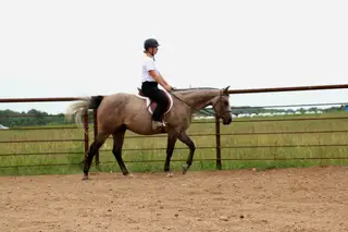 CB Real Tradition (Maverick), 5 Year Old Gray Quarter Horse Gelding for Sale in Merrill, WI, photo 2 of 5