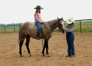 CB Real Tradition (Maverick), 5 Year Old Gray Quarter Horse Gelding for Sale in Merrill, WI, photo 3 of 5