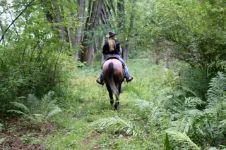 CB Real Tradition (Maverick), 5 Year Old Gray Quarter Horse Gelding for Sale in Merrill, WI, photo 4 of 5