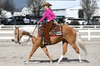 Gold Metallic Cougar (Willa), 4 Year Old Champagne Quarter Horse Mare for Sale in Bakersfield, CA, photo 2 of 6