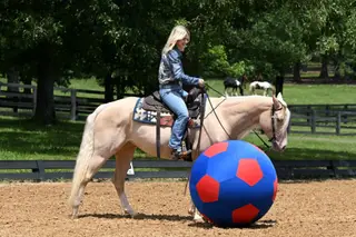 Gold Metallic Cougar (Willa), 4 Year Old Champagne Quarter Horse Mare for Sale in Bakersfield, CA, photo 3 of 6