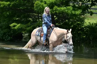Gold Metallic Cougar (Willa), 4 Year Old Champagne Quarter Horse Mare for Sale in Bakersfield, CA, photo 5 of 6