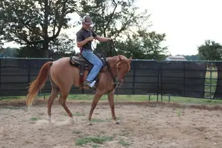Tuff, Sorrel Quarter Horse Colt for Sale, photo 3 of 5