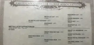 Metallicstuffhotiron, 5 Year Old Bay Quarter Horse Gelding for Sale in Dublin, TX, photo 2 of 4