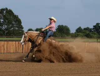 Big Star, 6 Year Old Palomino Quarter Horse Gelding for Sale in Buffalo, MO