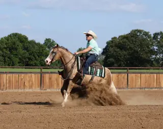 Little Miss Inferno (Shakira), 3 Year Old Palomino Quarter Horse Mare for Sale in Buffalo, MO, photo 4 of 6