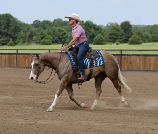 Little Miss Inferno (Shakira), 3 Year Old Palomino Quarter Horse Mare for Sale in Buffalo, MO, photo 5 of 6