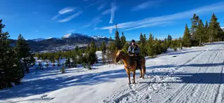 Madara, 19 Year Old Palomino Quarter Horse Mare for Sale in Breckenridge, CO, photo 4 of 5
