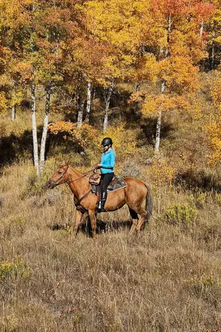 Madara, 19 Year Old Palomino Quarter Horse Mare for Sale in Breckenridge, CO, photo 5 of 5