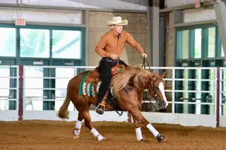 CBK A Cash Surprize, 5 Year Old Sorrel Quarter Horse Mare for Sale in Pilot Point, TX, photo 2 of 4