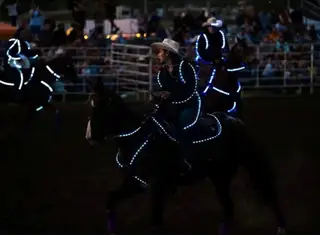 Legend, 16 Year Old Bay Grade Gelding for Sale in TX