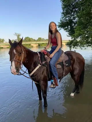 Legend, 16 Year Old Bay Grade Gelding for Sale in TX, photo 4 of 4