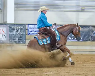 Hendrix, 4 Year Old Sorrel Quarter Horse Gelding for Sale in Dewey, AZ, photo 2 of 5