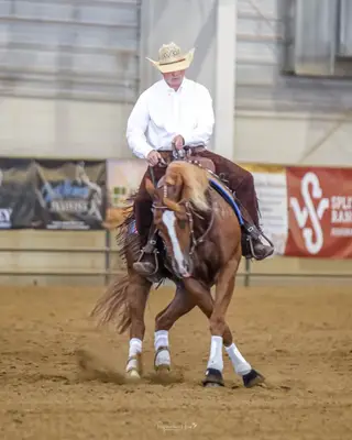 Hendrix, 4 Year Old Sorrel Quarter Horse Gelding for Sale in Dewey, AZ, photo 3 of 5