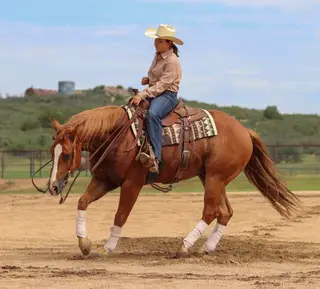 Hendrix, 4 Year Old Sorrel Quarter Horse Gelding for Sale in Dewey, AZ, photo 4 of 5