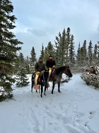 Rayna, 6 Year Old Bay Roan Quarter Horse Mare for Sale in Fairplay, CO, photo 3 of 4