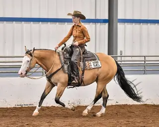 GVG Double Dunitwhiz (Sushi), 10 Year Old Buckskin Quarter Horse Mare for Sale, photo 2 of 3