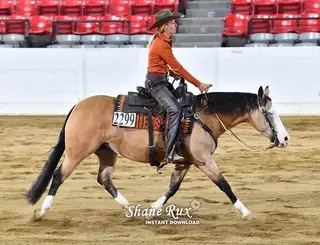 GVG Double Dunitwhiz (Sushi), 10 Year Old Buckskin Quarter Horse Mare for Sale, photo 3 of 3