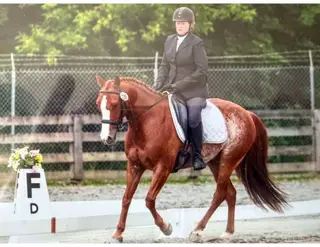 Talkin About Smart (Peanut), 9 Year Old Sorrel Quarter Horse Gelding for Sale in Hardwick, NJ, photo 4 of 4