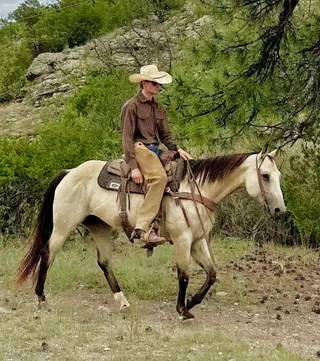 Mesa, 9 Year Old Buckskin Quarter Horse Mare for Sale in Magdalena, NM