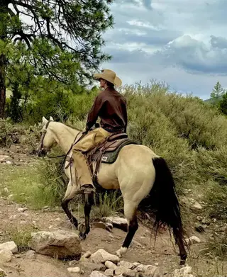 Mesa, 9 Year Old Buckskin Quarter Horse Mare for Sale in Magdalena, NM, photo 4 of 5