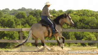 SHR Got Diamonds (King), 7 Year Old Buckskin Paint Gelding for Sale in Forney, TX, photo 5 of 6