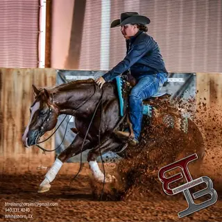 Gunna Redeem U, 1 Year Old Black Quarter Horse Filly for Sale in Gainesville, TX, photo 5 of 5