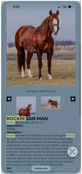 Red Double O Seven (Calvin), Foal Chestnut Quarter Horse Colt for Sale in Waukon, IA, photo 4 of 4