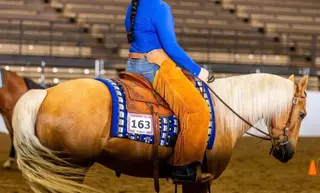 Gold Im Dreamin Of (Nash), 6 Year Old Palomino Quarter Horse Gelding for Sale in Prescott, KS, photo 3 of 5