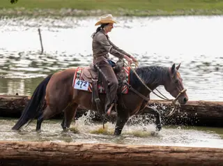 Metelesoke (Fifi), 4 Year Old Bay Quarter Horse Mare for Sale in Weatherford, TX