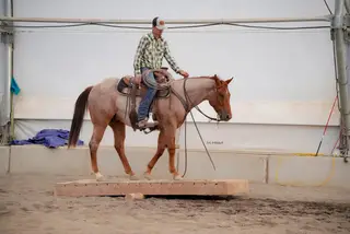 Skipper, 2 Year Old Roan Quarter Horse Gelding for Sale in Saint Anthony, ID, photo 5 of 5
