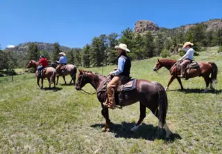 Pastels Play Smart, 14 Year Old Sorrel Quarter Horse Mare for Sale in Wellington, CO, photo 6 of 7