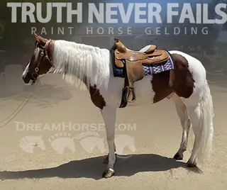 Truth Never Fails