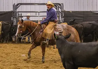 Pearls Moonshine, 11 Year Old Chestnut Quarter Horse Mare for Sale in Dillsburg, PA